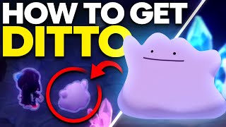 How To Get Ditto in Pokemon Brilliant Diamond and Shining Pearl [upl. by Emolas]