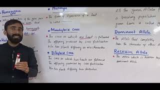 Homozygous ll Heterozygous ll genotype ll phenotype [upl. by Ayadahs]