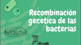 Genoma Bacteriano [upl. by Yeslaehc135]