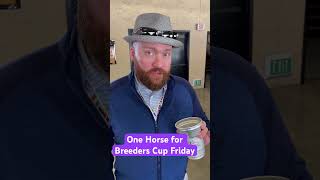 One horse for Breeders’ Cup Friday breederscup horseracing horseracingtips [upl. by Saltzman660]