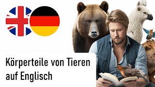 Körperteile von Tieren auf Englisch Männliche Stimme [upl. by Blus]