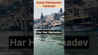 Kashi Vishwanath Varanasi 🙏 varanasi shorts [upl. by Regdirb434]