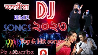 new assamese dj songs 2024  New dj remix songs 2024  assamese top and hit DJ songs 2024 [upl. by Rodd433]