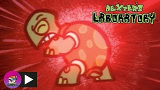 Dexters Laboratory  Techno Turtle  Cartoon Network [upl. by Donnell]