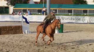 Portuguese National Championship Working Equitation Speed Trail GodinhoTrigo [upl. by Erasaec623]