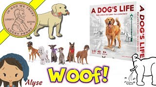 How To Play The Game A Dogs Life Family Board Game  Learn To Piddle Rummage amp Beg Woof Woof [upl. by Fleece300]