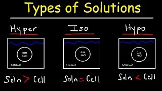 Hypertonic Hypotonic and Isotonic Solutions [upl. by Player]