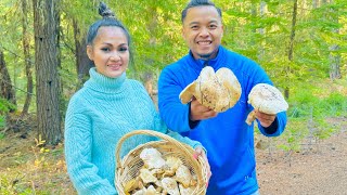 How to Find and Forage Matsutake Mushrooms AKA Pine Mushrooms in Washington and Oregon [upl. by Woody]