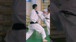 Gyaku Mikazuki geri karate martialarts [upl. by Groos]