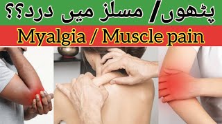 What is Myalgia muscle pain  causes of myalgia symptoms Treatment of Myalgia in HindiUrdu [upl. by Nicolea98]