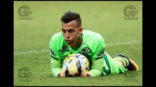 Danilo Padilha ⚫ Goleiro da Chapecoense ⚫ Defesas e Homenagem Mix 2016 [upl. by Dermott]