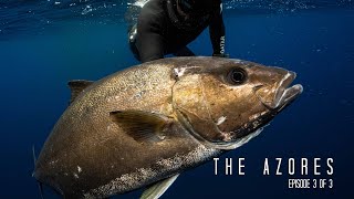 Secret Pinnacle in quotThe Azoresquot Things go wrong while Spearfishing Big Almaco Jack [upl. by Atnwahs]