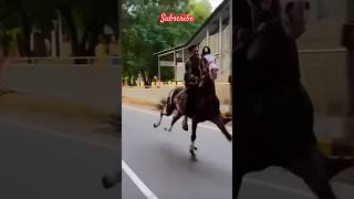 Horse riding horseriding shorts shortsvideo youtubeshorts trending viral [upl. by Zigrang]