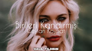 Ceylan Koynat  Birileri Kandırmış  Halil Yıldırım Remix [upl. by Gunas738]