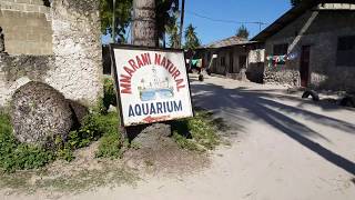 Zanzibar 2018  Nungwi Village [upl. by Irim]