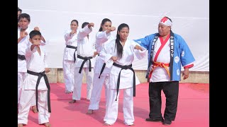 Karate kaise sikhe step by step video [upl. by Kathye647]