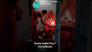 Kantha Shasti Viratham Day 5Day5 Neivadhyam prasadam for shasti [upl. by Ecienaj]