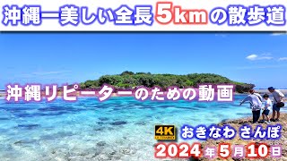 ◤沖縄観光：リピーター向け◢ リピーターのための『全長５kmの美しい散歩道』 ♯735 沖縄旅行 おきなわさんぽ：沖縄散歩 [upl. by Jori]