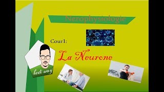 02 Tissu Nerveux la neurone  Neurophysiologie Bac Tunisie [upl. by Bridgid]