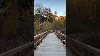 📍Rattray Marsh Conservation Area beach love travel fall fallcolors orange ontario travel [upl. by Aihsakal636]