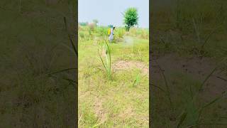 agriculture spray pump agriculturalequipmentatbestprice villagepoint beautifullvillage haria vill [upl. by Lethia884]