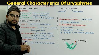 Bryophytes Plants Introduction Chapter Diversity Among Plants [upl. by Naot406]