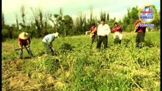 Campesino Madrugador copla y cueca  Antenor Silos [upl. by Vassell]