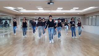 100 Easy Line Dance Beginner Level [upl. by Ntsud]