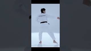 Mastering Taebaek Poomsae A StepbyStep Guide to Taekwondo Excellence [upl. by Genovera32]