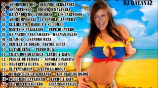 08  EL AMOR LISANDRO MEZA [upl. by Diaz209]