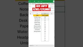 Hide Empty RowsColumn in Excel  New Function Alert 🚨 [upl. by Beckett369]