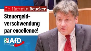 Steuergeldverschwendung par excellence – Dr Hartmut Beucker AfD [upl. by Okuy]