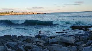 Arey Cove Schoodic Point Maine [upl. by Dannie]