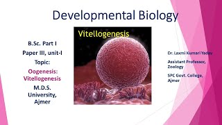 Vitellogenesis BSC PART I PAPER III BY DR LAXMI KUMARI YADAV [upl. by Kimberlyn]