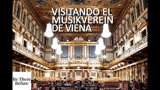 ¿Cómo es ver un concierto en el Salón Dorado de Viena donde el de Año Nuevo [upl. by Losyram]