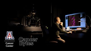 Cancer Bytes Dr Gus Mouneimne Breast Cancer Biomarker MECO Breakthrough [upl. by Sand]