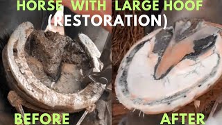 Shire Horse  Complete restoration  Shire Horse Restoration Compilation [upl. by Aramois734]