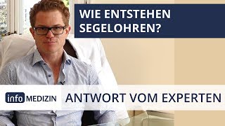 Wie entstehen Segelohren  Expertenantwort von Dr Kiermeir [upl. by Eimrots]