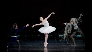 Natalia Osipova White Swan Coda from ACT II наталья осипова  Лебединое озеро [upl. by Mcneely]