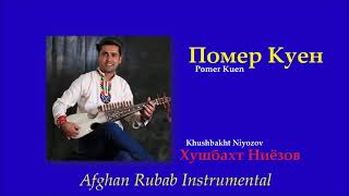 Сетор Setor  Afghan Rubab Instrumental  Khushbakht Niyozov  Хушбахт Ниёзов [upl. by Pegeen]