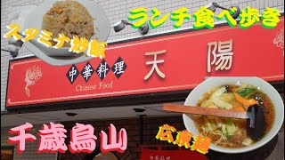 《天陽》町中華店にてランチ！絶品中華を食す！【世田谷区】【千歳烏山】【食べ歩き】 [upl. by Sucramed546]