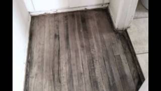 Hard Wood Floors Staining and Refinishing [upl. by Jeanelle]