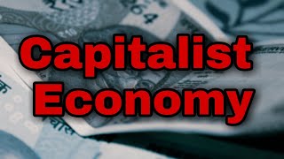 Capitalist economy class 12  in Hindi  explained  meaning  features of capitalist economy [upl. by Aicinat]