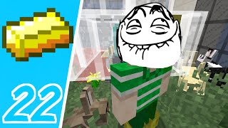 Dansk Minecraft  Pengebyen 22 VI TROLLER [upl. by Elkin]