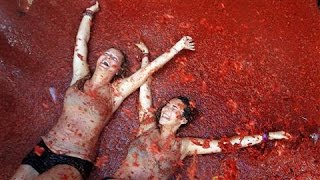 TomatoThrowing Festival Celebrated in Spain [upl. by Atikram]