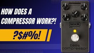 IS A COMPRESSOR PEDAL the SECRET to CONTROLLING Your BASS Sound [upl. by Ardeed173]