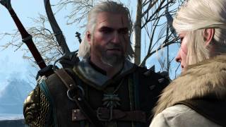 The Witcher 3 Final Ending Geralt Alone [upl. by Ozzy956]