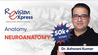 Revision eXpress Anatomy Neuroanatomy  Dr Ashwani Kumar [upl. by Nahguav]