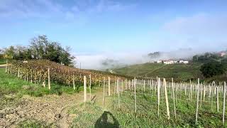 Barbaresco Piemonte [upl. by Eillit]