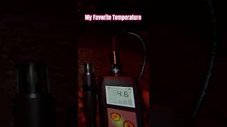 Favorite Temperature phasmophobia shorts funny reaction update gaming games gameplay [upl. by Alvarez]